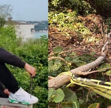 İstinye İDO Parkı'nda çalılık alan ve olay yeri inceleme çalışması