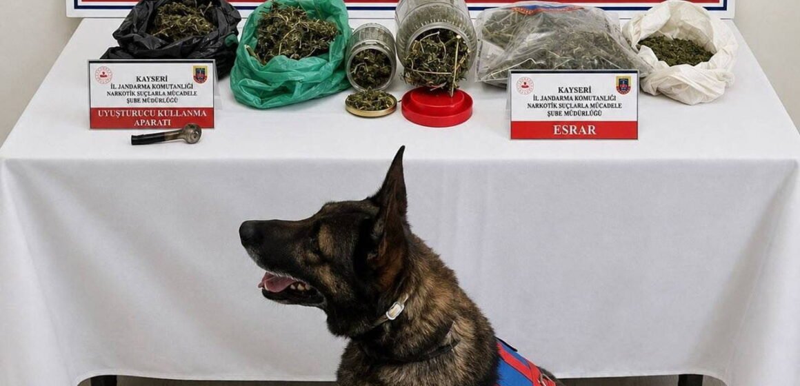 Kayseri'nin Yahyalı ilçesinde düzenlenen operasyonda 1.2 kilo esrar ele geçirildi; 1 şüpheli gözaltına alındı. Kayseri Yahyalı'da jandarma ekiplerinin narkotik operasyonu sırasında olay yeri görüntüsü
