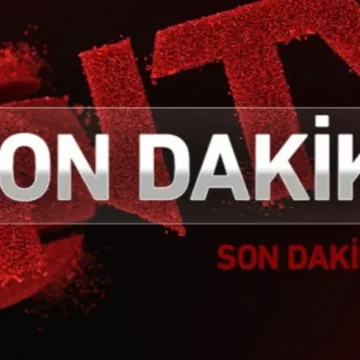 Dosya kapsamında verilen el koyma kararının adli süreci. Alihan Kuriş soruşturmasında 5 şirkete daha el konuldu
