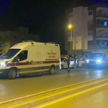 Adana Ceyhan'da gerçekleşen silahlı saldırıda eski eşini öldürüp oğlunu ağır yaralayan kişi aynı silahla intihar etti. Ceyhan'da yaşanan silahlı saldırı sonrası olay yeri