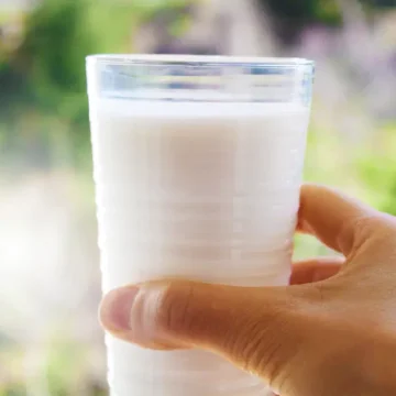 İçme sütlerinde yeni yağ, çeşni ve şeker sınıflandırması getiren tebliğ bugün Resmi Gazete’de yayımlandı. Süt şişeleri ve içme sütü etiketi görseli